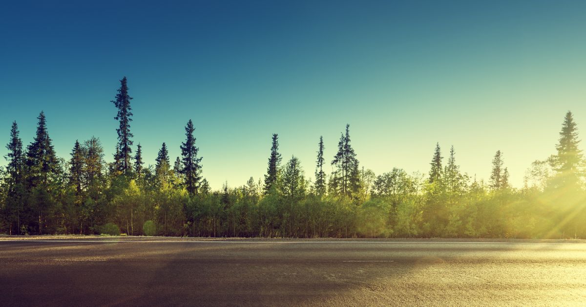 Going-Green---Minimizing-Your-Carbon-Footprint-in-the-Freight-Industry